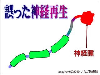 _o̖͎}