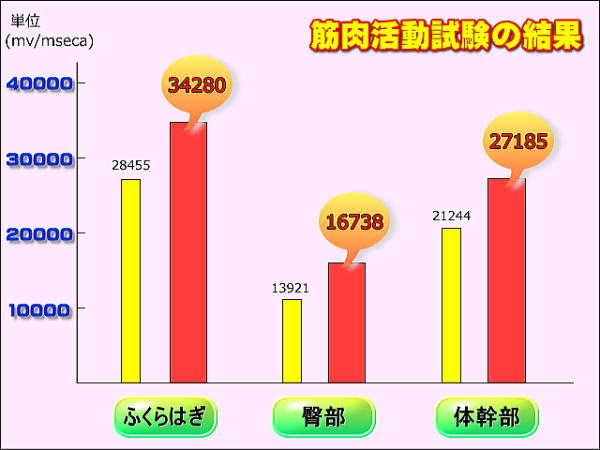 筋肉活動量を比較したグラフ