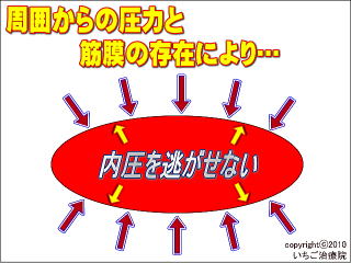 筋肉が内圧を逃がせない様子