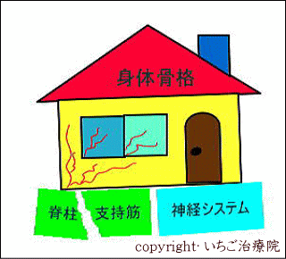 脊柱支持筋と神経システムの概念図