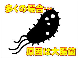大腸菌のイラスト