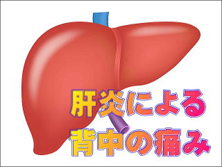 肝炎になった肝臓