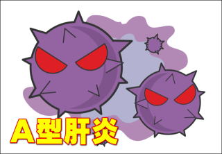 A型肝炎ウィルス