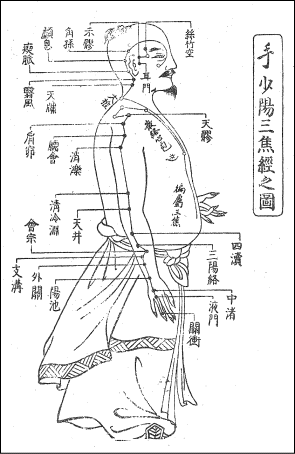 少陽三焦経図