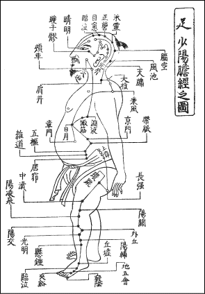 少陽胆経図