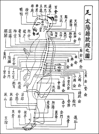 太陽膀胱経図