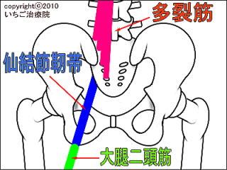 ؁A匋ߐxсAړ񓪋؂̊֌W