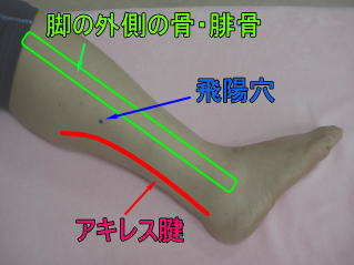 飛陽穴の位置