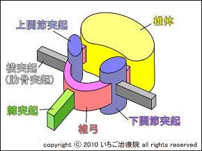 ŗ̐}