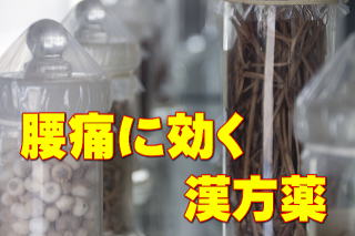 漢方薬の原料